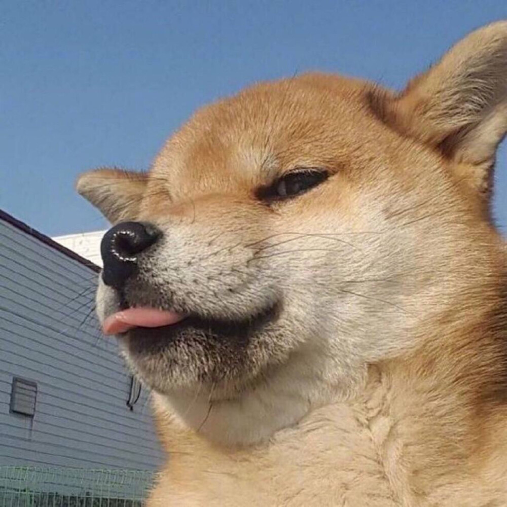 从“你好世界”到自我觉醒：一行代码如何塑造技术文明的起点